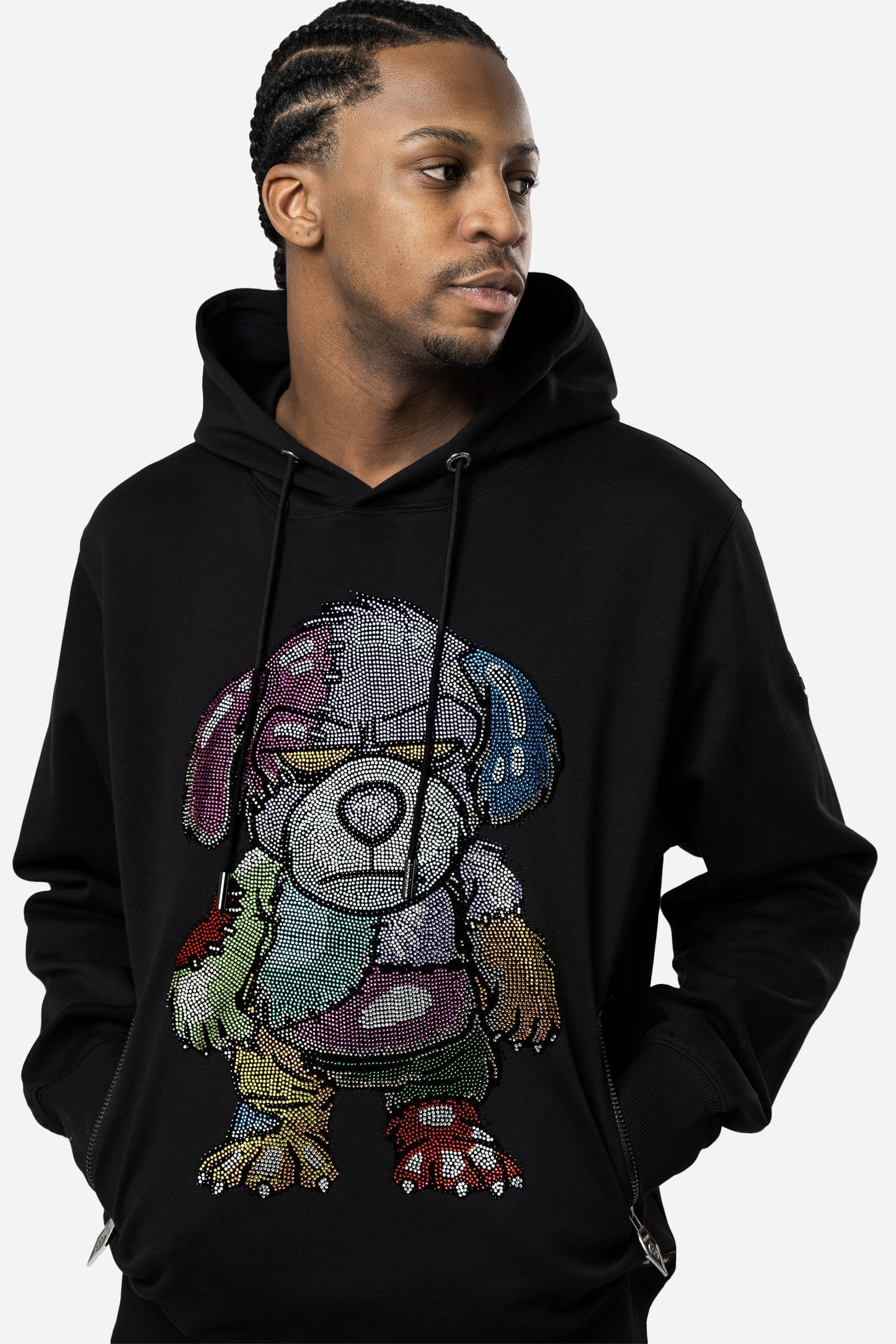 Crystal Rainbow Teddy Hoodie - Limited to 300 - PAUL BALM WORLD