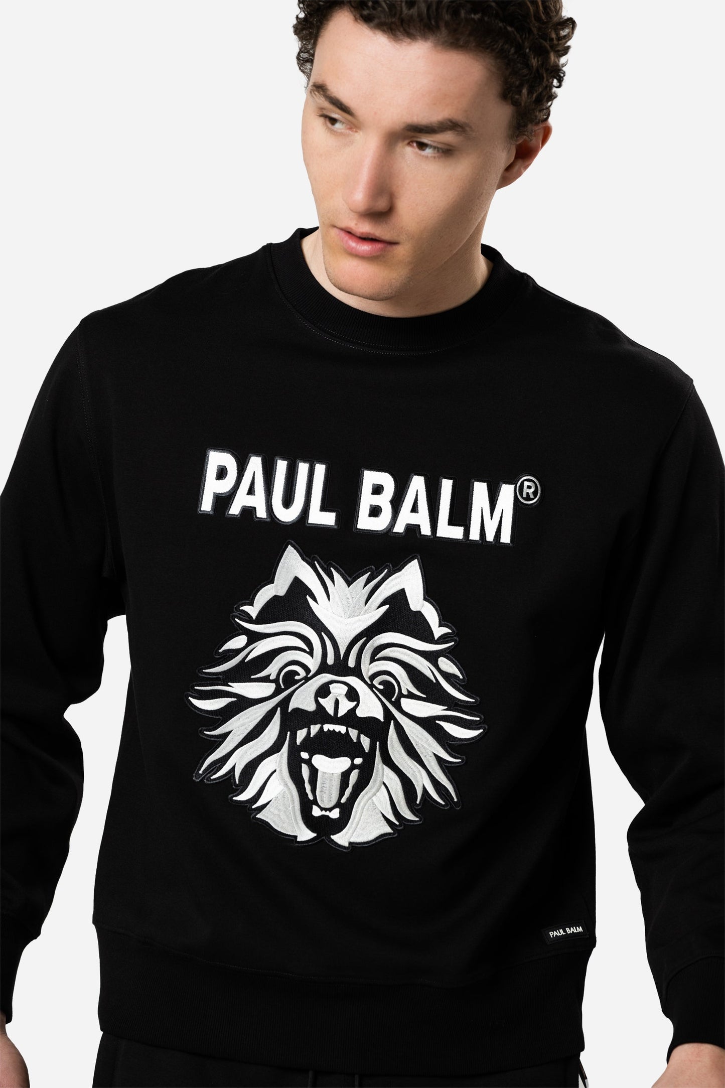 Embroidered Yuki Logo Sweatshirt - PAUL BALM WORLD