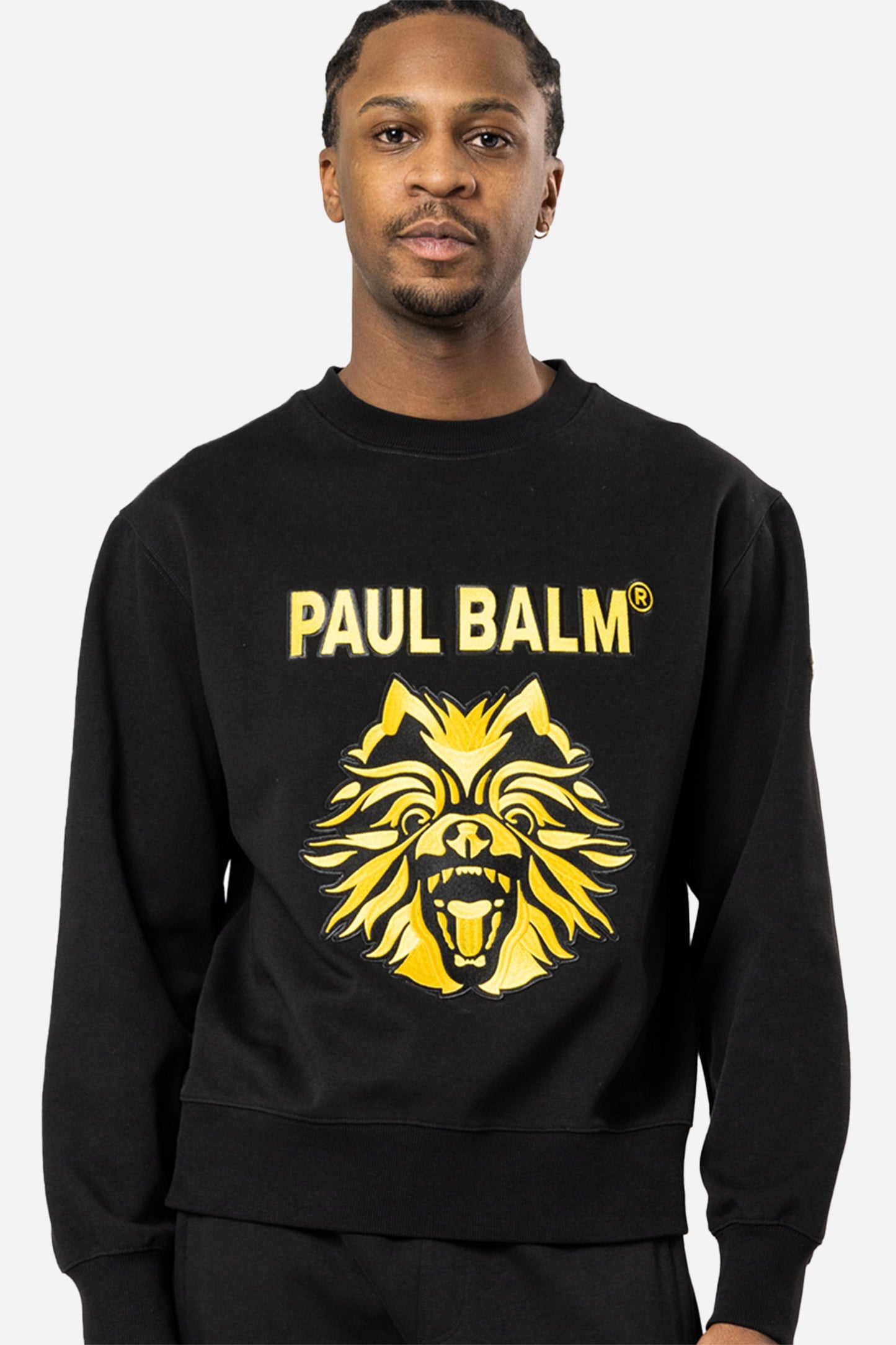 Embroidered Yuki Logo Sweatshirt - PAUL BALM WORLD