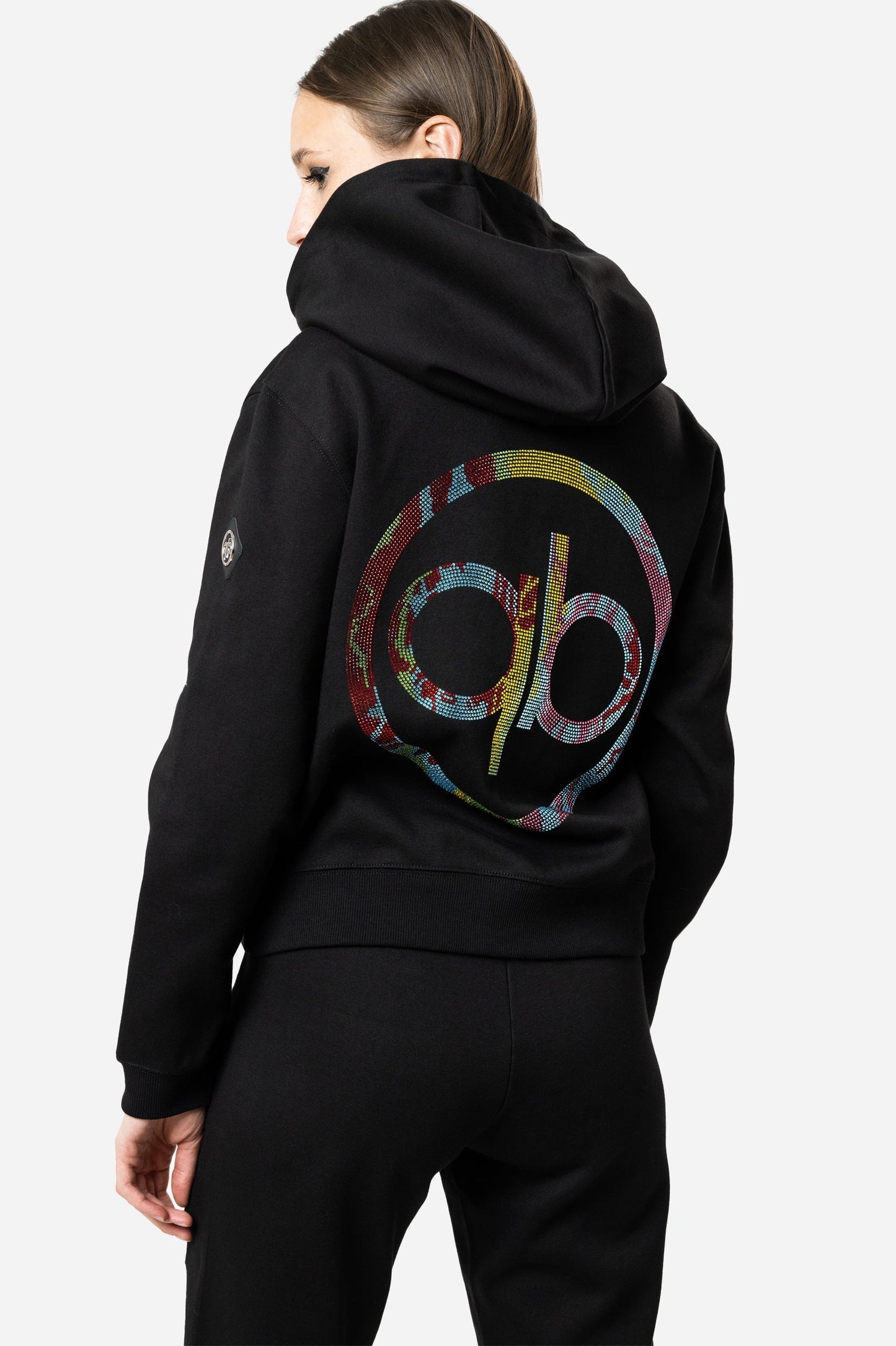 Embroidered Rainbow Teddy Hoodie - Limited to 300 - PAUL BALM WORLD